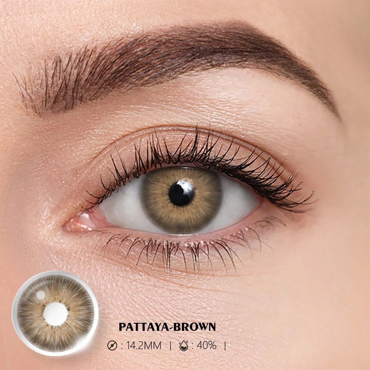 9521 b03-15 Lentes De Contacto Pattaya-Brown