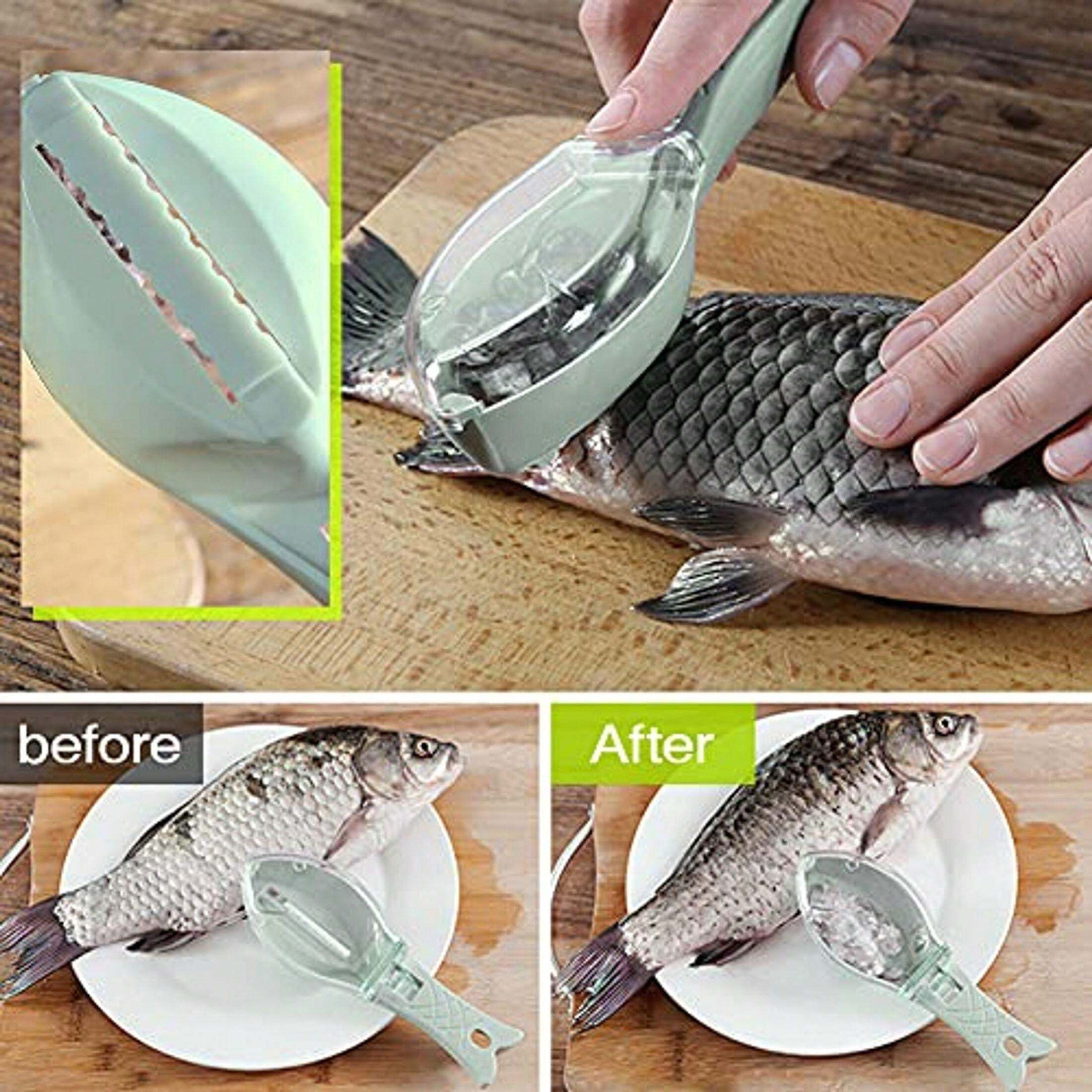 11612 1a-038 Quitaescamas de pescado 1 Pza