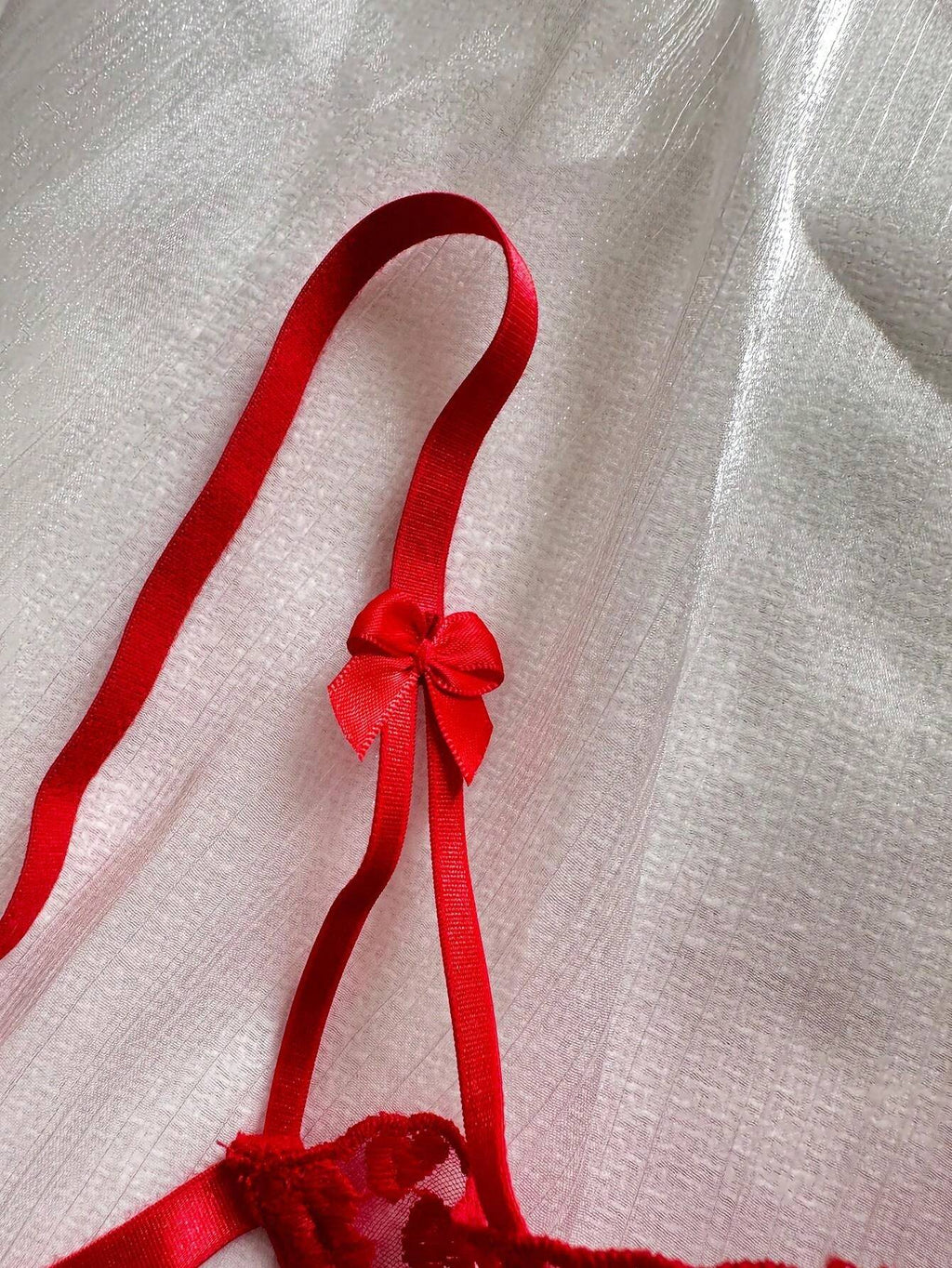 19939 1a-018 Conjunto de lencería transparente con bordado de corazón rojo 2Pzs