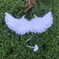 15036 1c-030 Alas de plumas de ángel y demonio