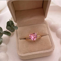 dr015 t01 Anillo