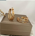 dr533 t01 Aretes