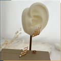 dr536 t01 Aretes