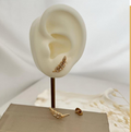 dr551 t01 Aretes