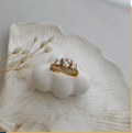 dr583 t01 Anillo