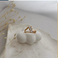 dr586 t01 Anillo