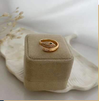 dr588 t01 Anillo