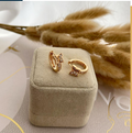 dr634 t01 Aretes