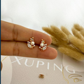 dr650 t01 Aretes