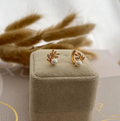 dr656 t01 Aretes
