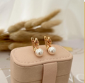 dr659 t01 Aretes