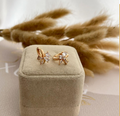 dr667 t01 Aretes