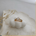 dr690 t01  Anillo