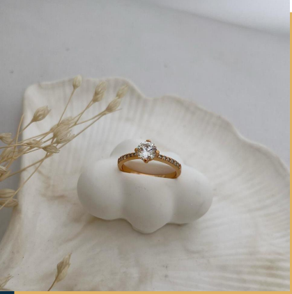 dr690 t01  Anillo