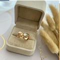 dr691 t01 Anillo