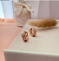 dr694 t01 Aretes