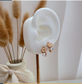 dr696 t01 Aretes
