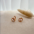 dr700 t01 Aretes