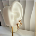 dr710 t01 Aretes