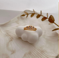 dr734 t01 Anillos