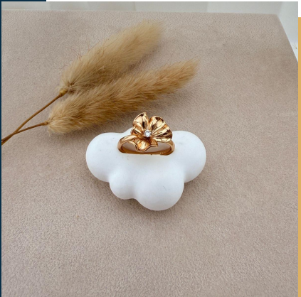 dr736 t01 Anillos