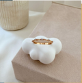 dr739 t01 Anillos