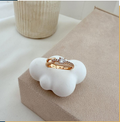 dr740 t01 Anillos