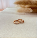 dr749 t01 Aretes