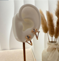 dr761 t01 Aretes