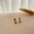 dr762 t01 Aretes