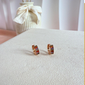 dr777 t01 Aretes