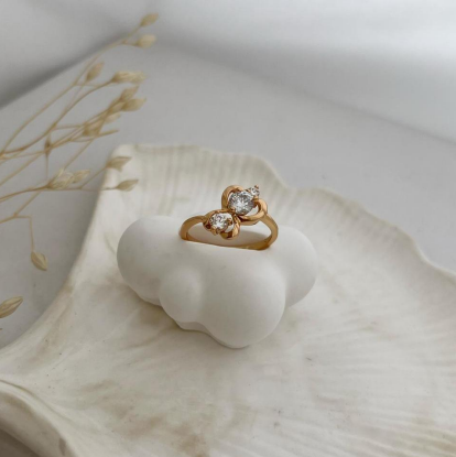 dr819 t01 Anillos