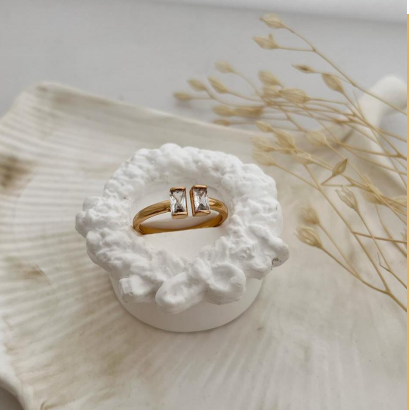 dr820 t01 Anillos