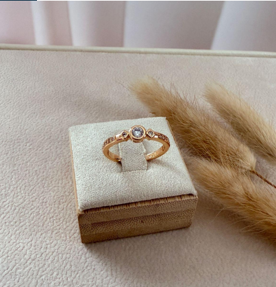 dr822 t01 Anillos