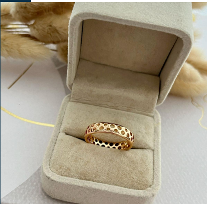 dr823 t01 Anillos