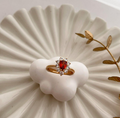dr824 t01 Anillos