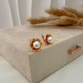 dr849 t01 Aretes