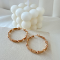 dr860 t01 Aretes