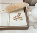 dr875 t01 Anillos