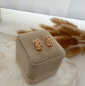 dr889 t01 Aretes