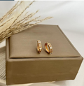 dr883 T01 Aretes
