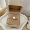 dr926 t01 Anillo