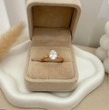 dr929 t01 Anillo