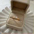 dr930 t01 Anillo