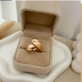 dr931 t01 Anillo