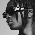 17620 1l-393 Gafas Palm