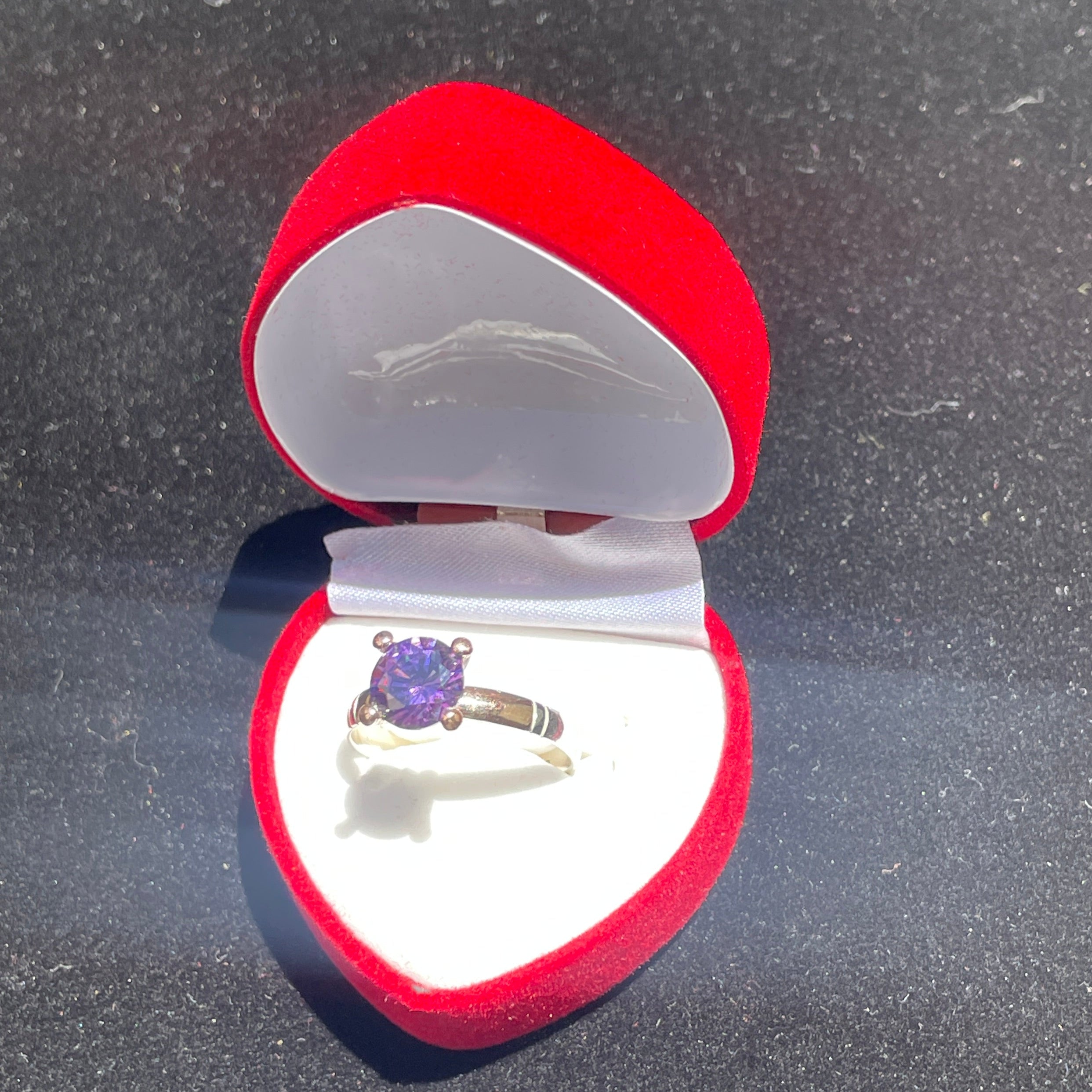 dr801 t01 Anillos