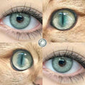 18040 1b-185 Lentes de contacto Lan Cat