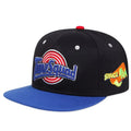 8960 1t-002 Gorra estilo Hip Hop