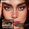 18047 1b-185 Lentes de contacto Samporna-Green